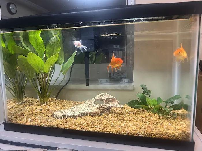 Beverly's Pet Center Picture 3