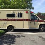 Severna Park Veterinary Hospital