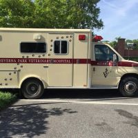 Severna Park Veterinary Hospital ico