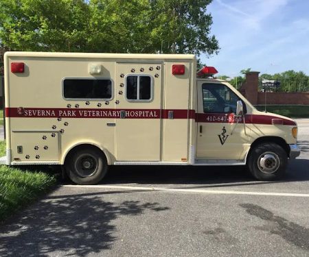 Severna Park Veterinary Hospital