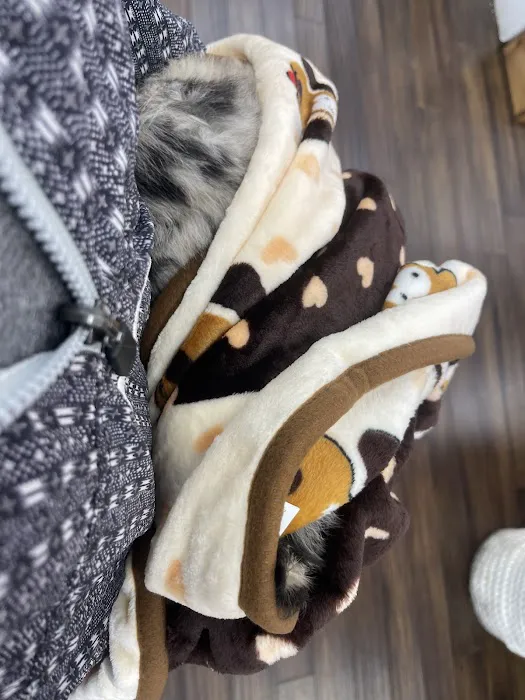 Petland Pembroke Pines Picture 4