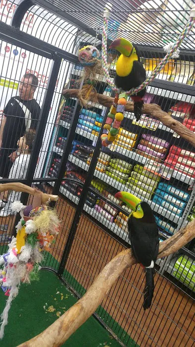 Petland Pembroke Pines Picture 8