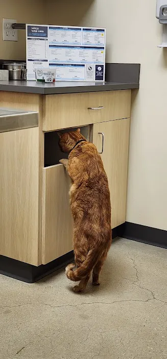 Vetco Total Care Animal Hospital Picture 4