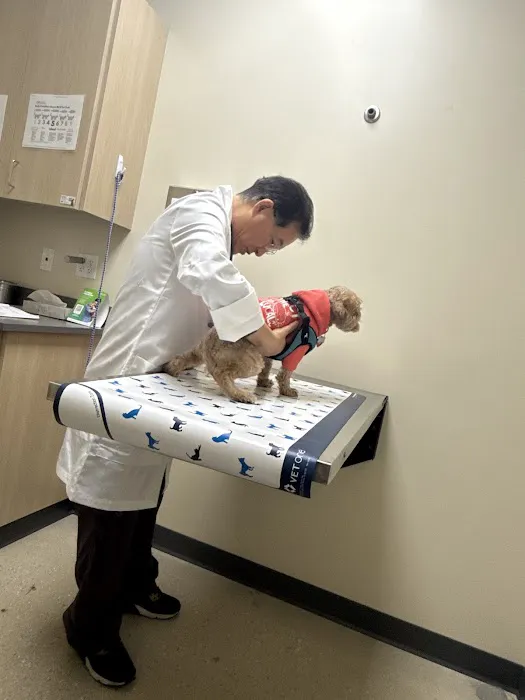 Vetco Total Care Animal Hospital Picture 5