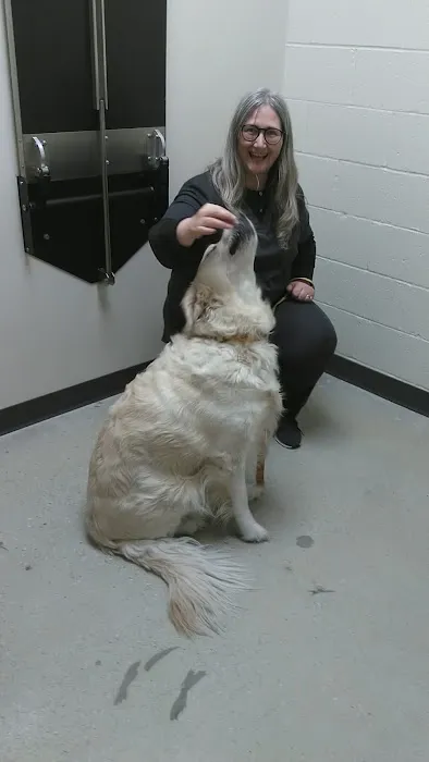 Vetco Total Care Animal Hospital Picture 6