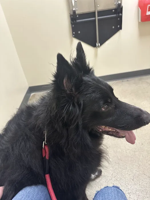 Vetco Total Care Animal Hospital Picture 2