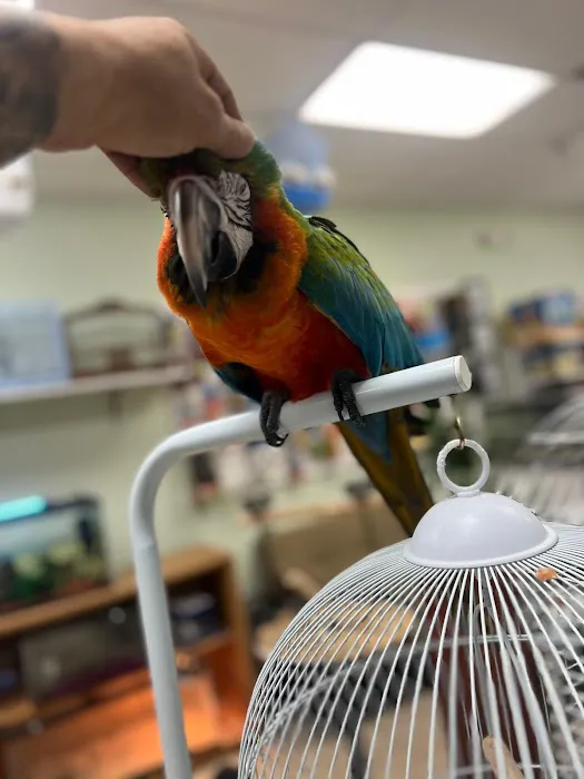 365 Pet Shop Picture 3