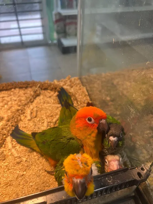 365 Pet Shop Picture 1