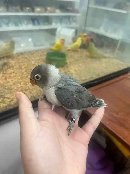 365 Pet Shop Picture 6