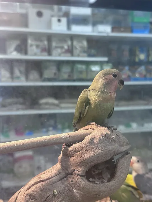 365 Pet Shop Picture 7