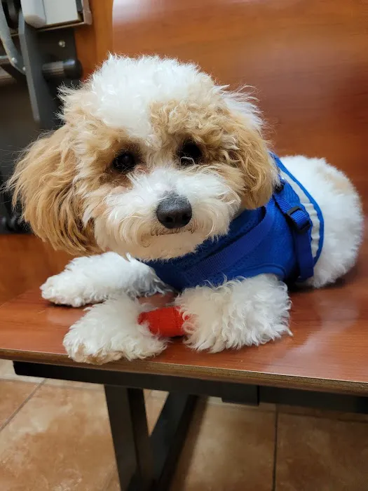 Banfield Pet Hospital Picture 6
