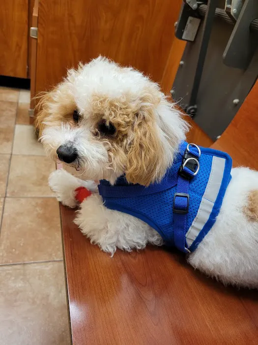 Banfield Pet Hospital Picture 3