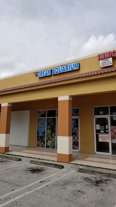 Dream Aquarium 1 Picture 1