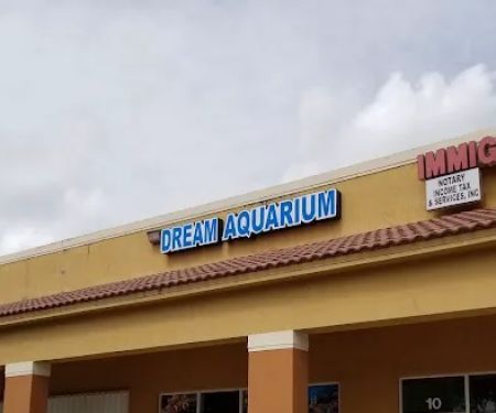 Dream Aquarium 1