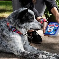 Doggie Water 2 Go ico
