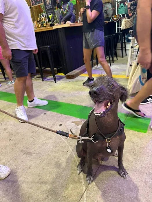Chef Wuau - Meatballs for your Dog (Hollywood) Picture 2