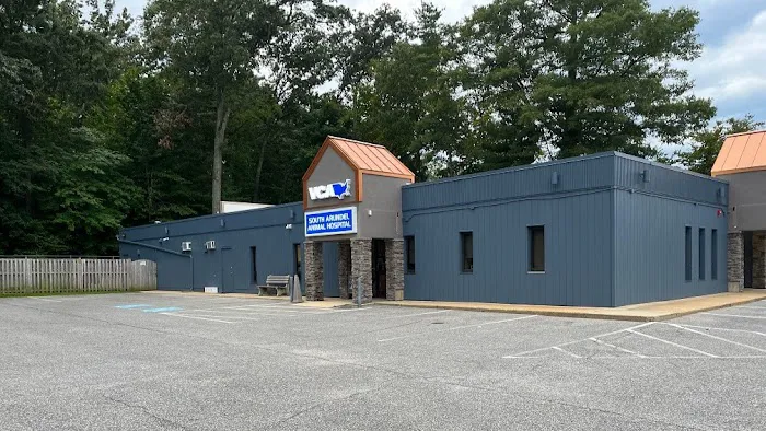 VCA South Arundel Animal Hospital Picture 2