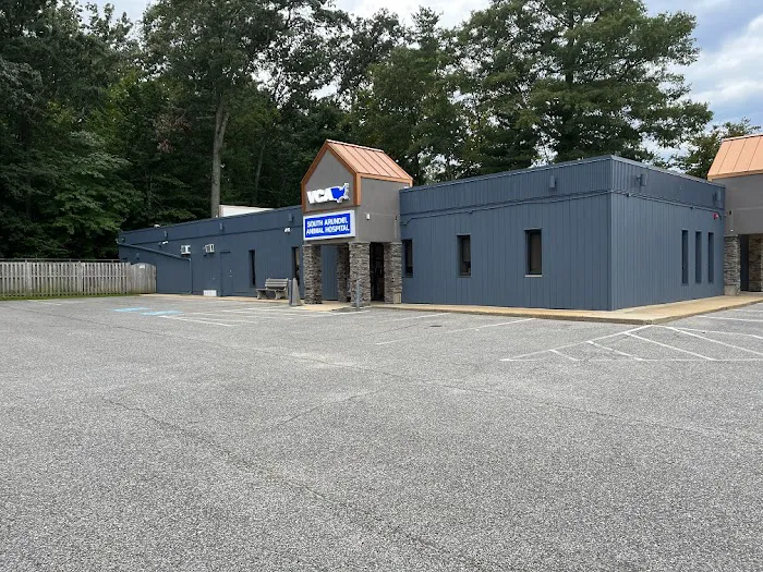 VCA South Arundel Animal Hospital Picture 6