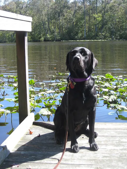Severn River Animal Hospital Picture 9