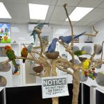 puppies and birds
