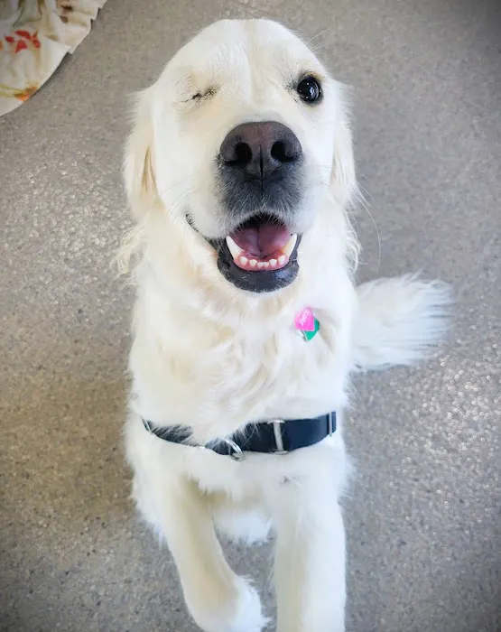 Happy Tails Veterinary Hospital Picture 9