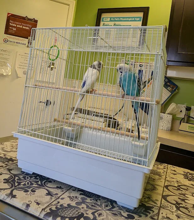 Happy Tails Veterinary Hospital Picture 8