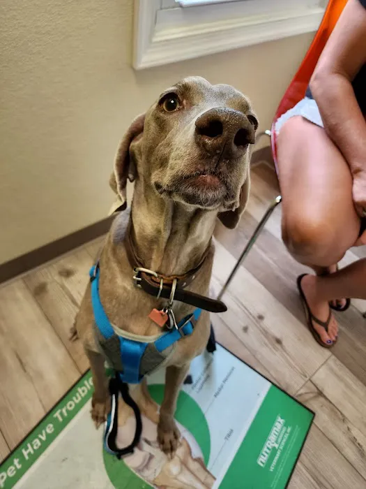 Happy Tails Veterinary Hospital Picture 6