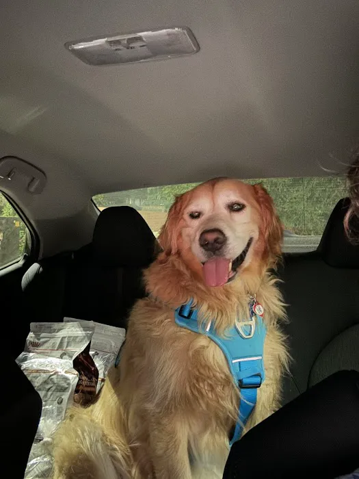Happy Tails Veterinary Hospital Picture 3