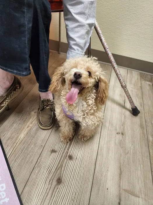 Happy Tails Veterinary Hospital Picture 4