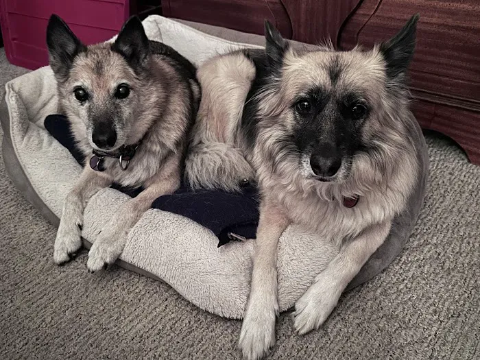 Happy Tails Veterinary Hospital Picture 10