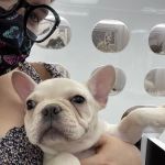 Puppies Secret