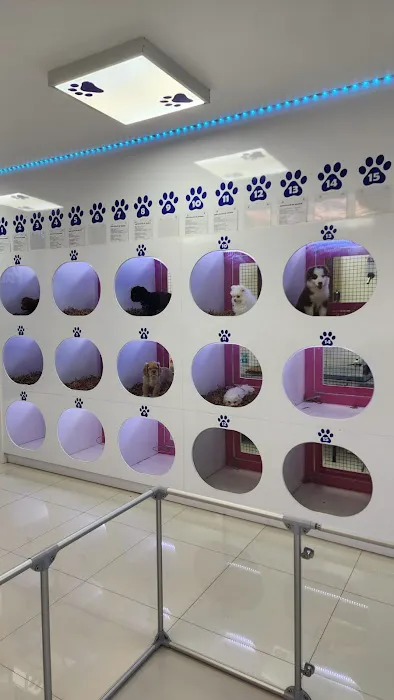 Pet Paradise Boutique Picture 10