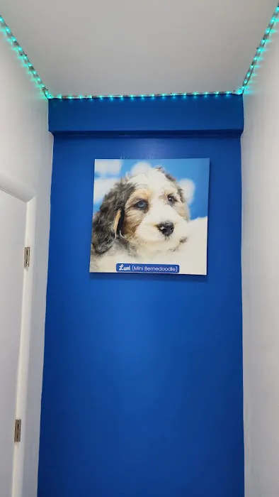 Pet Paradise Boutique Picture 8