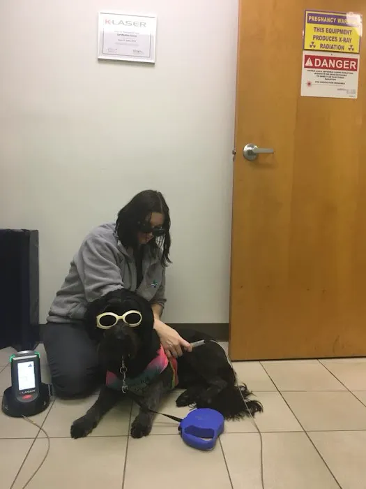 Lake Shore Pet Hospital Picture 9