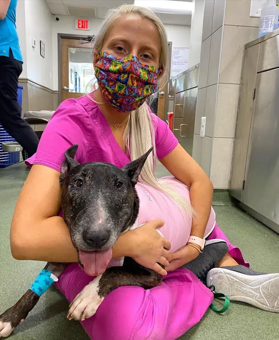 Lake Shore Pet Hospital Picture 6