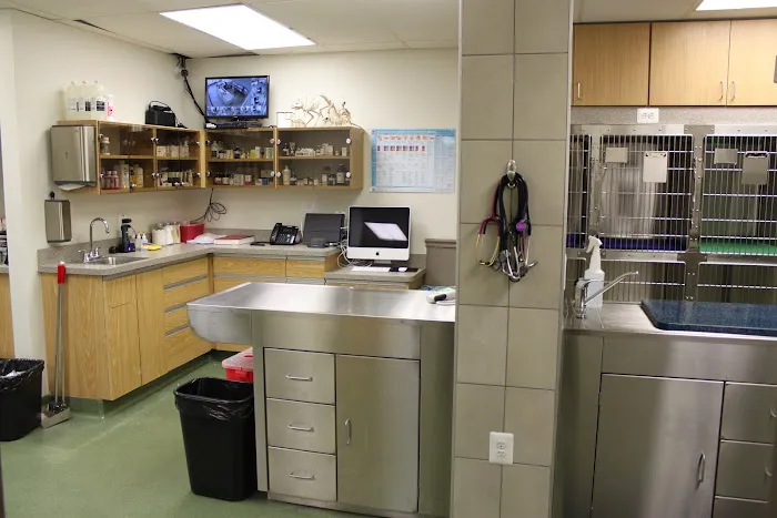 Lake Shore Pet Hospital Picture 1