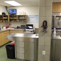 Lake Shore Pet Hospital ico