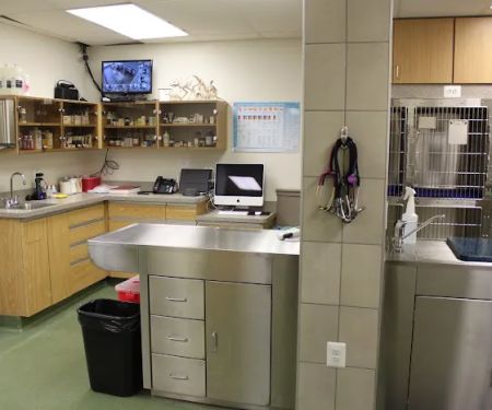 Lake Shore Pet Hospital