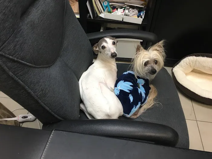 Lake Shore Pet Hospital Picture 5