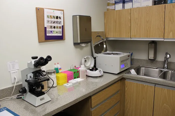 Lake Shore Pet Hospital Picture 4