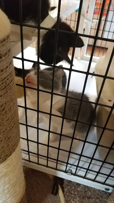 Pet Supermarket Picture 8