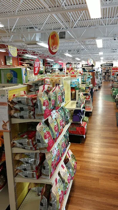 Pet Supermarket Picture 2