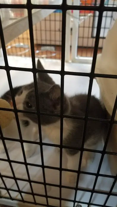 Pet Supermarket Picture 10