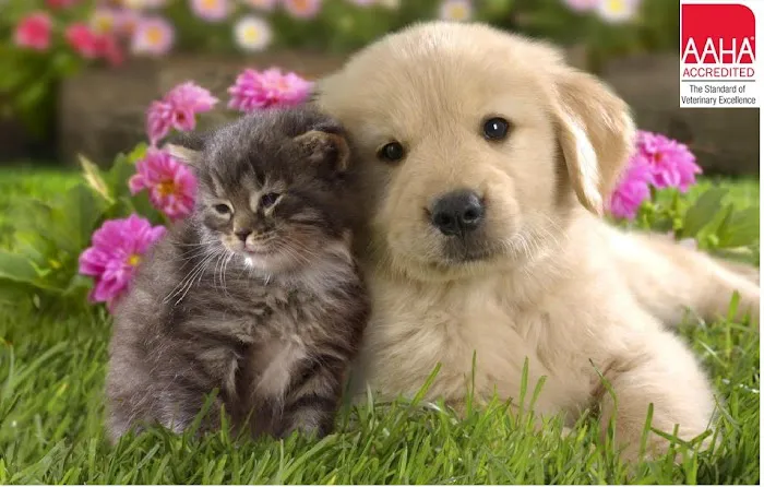 Bay Country Veterinary Hospital Picture 5