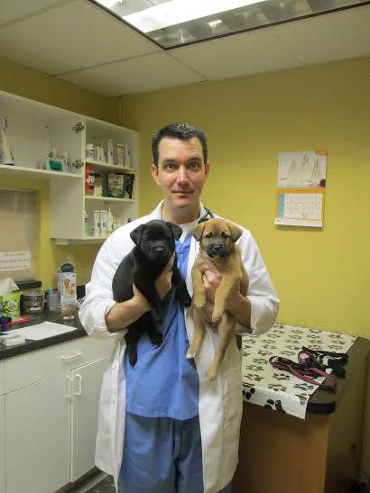 Bay Country Veterinary Hospital Picture 1