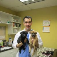 Bay Country Veterinary Hospital ico