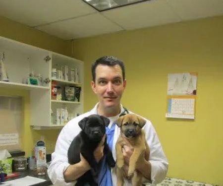 Bay Country Veterinary Hospital