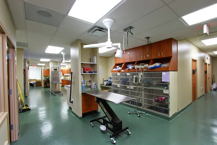 VCA Calvert Veterinary Center Picture 2