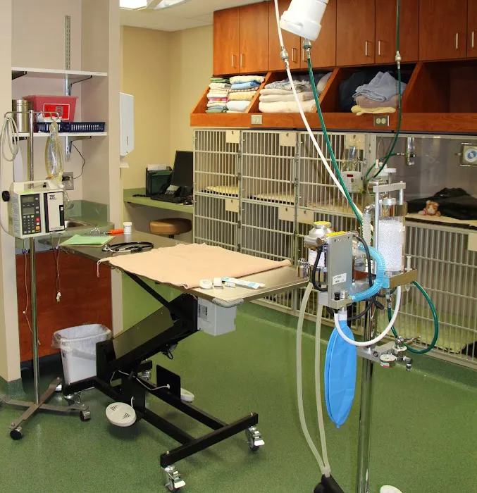 VCA Calvert Veterinary Center Picture 8