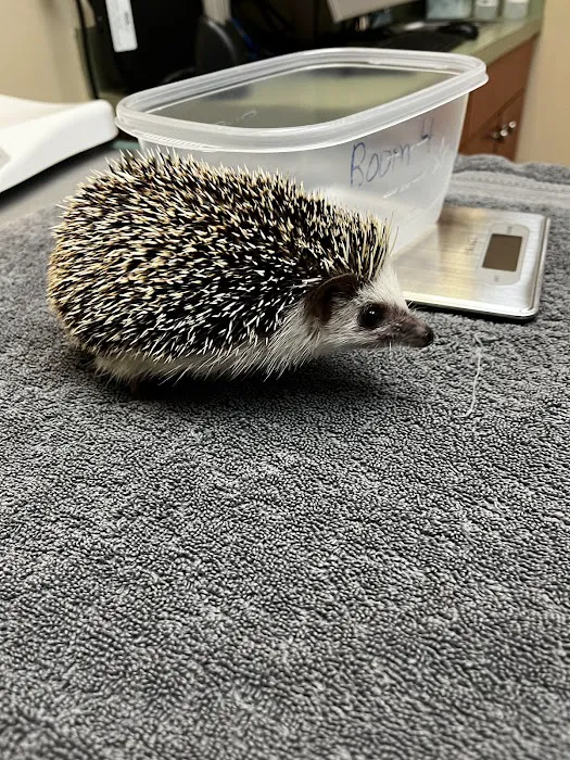 VCA Calvert Veterinary Center Picture 7